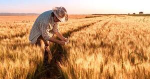 La Nación / BCP recorta pronóstico de inflación a 3,8 %