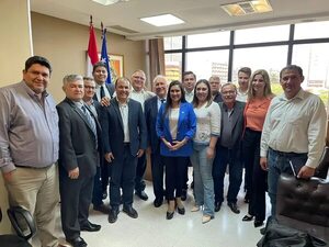 PLRA es opositor, recuerda Fleitas a legisladores - Política - ABC Color