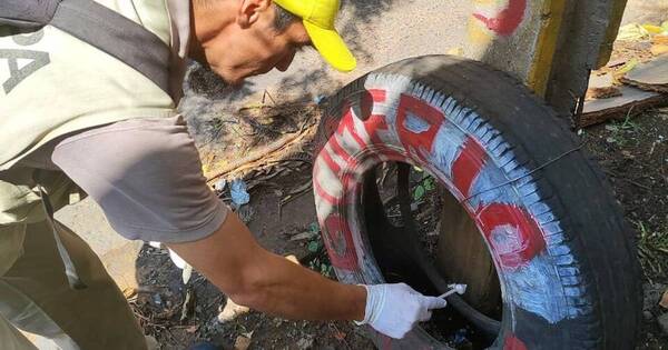 La Nación / Encuentran casi 4.000 criaderos de mosquitos en barrios de Asunción