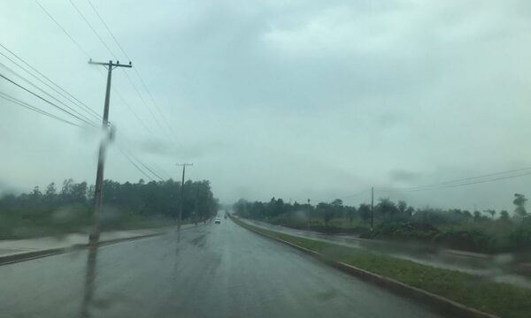 Mitad de semana con ambiente cálido, húmedo y lluvias dispersas