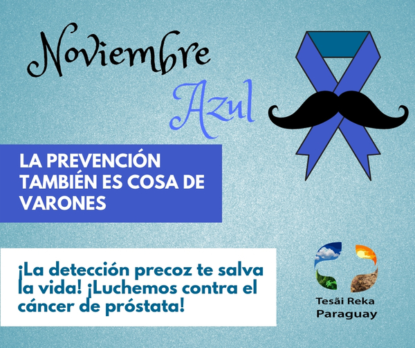 NOVIEMBRE AZUL; PREVENCIÓN CONTRA EL CÁNCER DE PRÓSTATA - La Voz del Norte