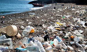 Un reservorio de bacterias que amenaza la salud, los plásticos degradados en los ríos