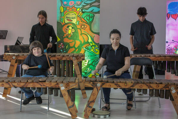 Con ensambles de arpa paraguaya y percusión cierra el ciclo de Tardes Musicales del IMA - .::Agencia IP::.