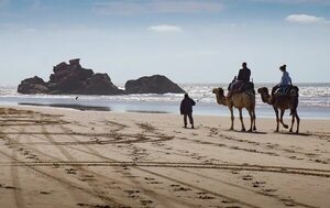 Viajes exóticos: ¡piense en el bienestar animal durante las vacaciones! - Viajes - ABC Color