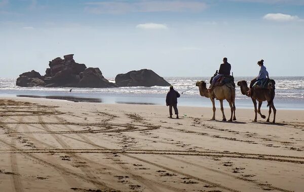 Viajes exóticos: ¡piense en el bienestar animal durante las vacaciones! - Viajes - ABC Color