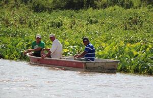 Este miércoles inicia veda pesquera e instan a respetar período de reproducción de peces | RADIO NACIONAL