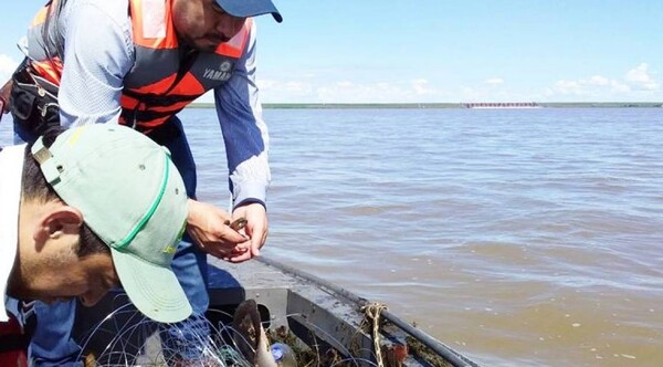 Inicia la veda pesquera en Paraguay