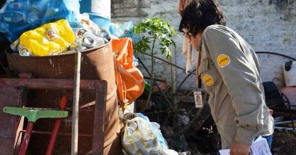 La Nación / Itapúa, en alerta ante elevados casos confirmados de dengue y chikungunya