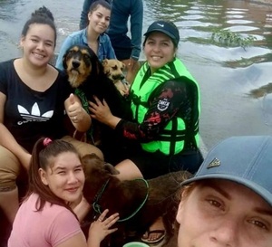 Inundación en Ayolas: El desamparo de mascotas abandonadas a su suerte