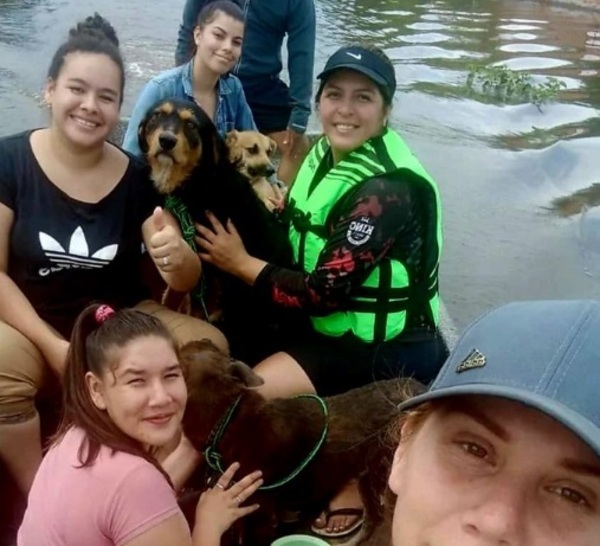 Inundación en Ayolas: El desamparo de mascotas abandonadas a su suerte