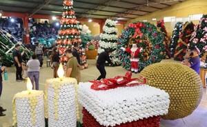 Navidad Sustentable: próxima semana arrancará tarea de instalación