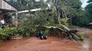 Caaguazú: Agresivo temporal azotó San Joaquín