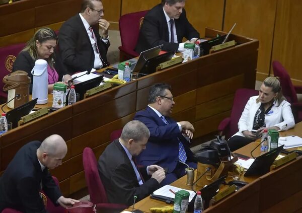 Los votos de senadores para mantener el convenio de Unión Europea sobre la educación - Política - ABC Color