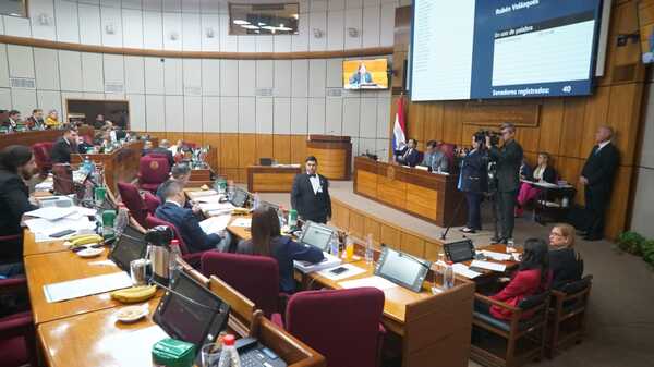 El Senado mantiene el acuerdo con la Unión Europea | OnLivePy