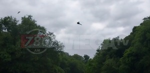 Despliegan búsqueda por aire y por agua para dar con militares arrastrados por el raudal - Megacadena - Diario Digital