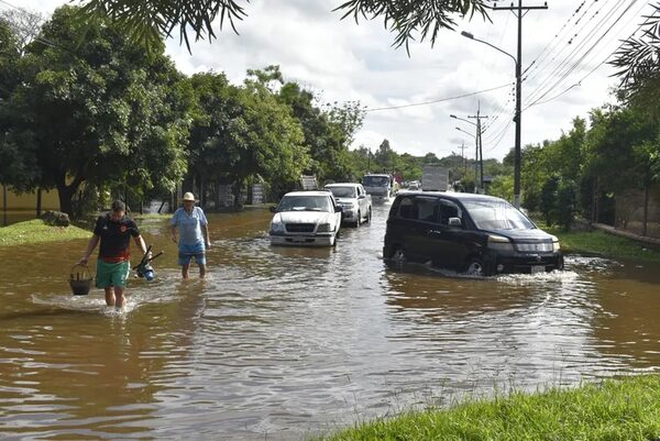 Caudal del río Paraná sigue en alza en Ayolas y productores rematan sus verduras - Nacionales - ABC Color