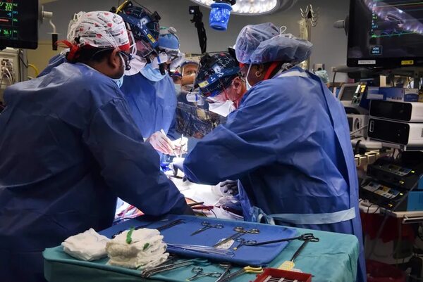 Muere hombre que recibió trasplante de corazón porcino seis semanas después de operación - Ciencia - ABC Color