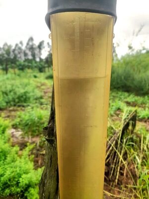 Preocupa a productores copiosa lluvia que pone en riesgo algunos cultivos en Paraguarí - Nacionales - ABC Color