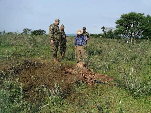 Paraguarí: ganaderos piden que brigadas antiabigeato pasen a disposición de la Conalcart - Nacionales - ABC Color