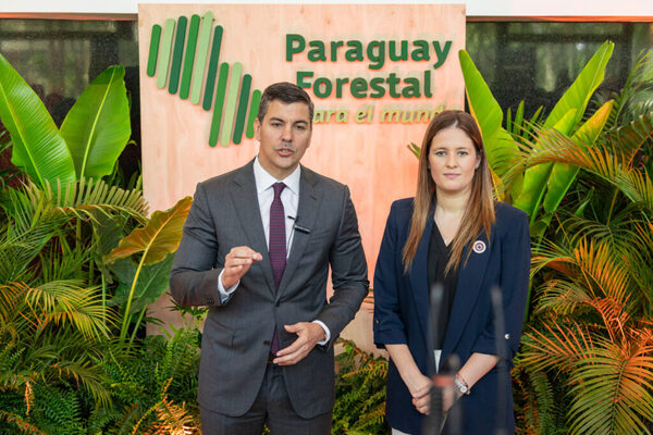 Diario HOY | Buscan posicionar a Paraguay como destino líder para inversiones forestales
