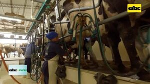 Video: equipo limpiador de tetillas de vacas lecheras - ABC Rural - ABC Color