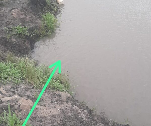 Niño muere al caer a tajamar