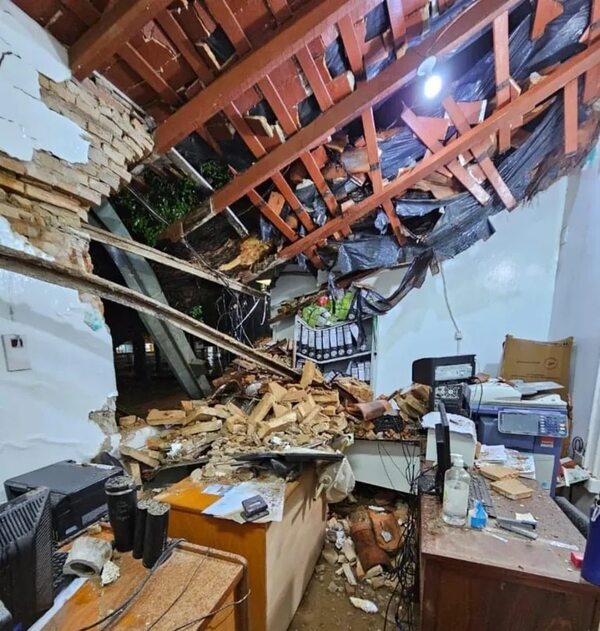 Video: temporal causo la caída de un árbol que afectó el Hospital de San Juan Nepomuceno - Nacionales - ABC Color