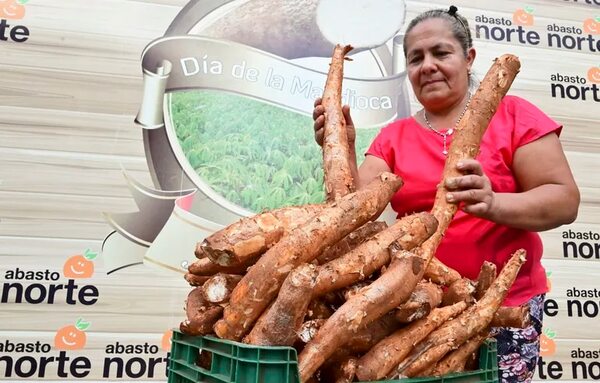 Día de la Mandioca es declarado de Interés Nacional y Cultural - Economía - ABC Color
