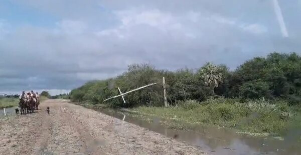 La tormenta de ayer derribó 100 columnas en el interior del país - Economía - ABC Color