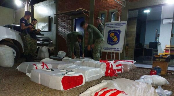 Hallan 666 kilos de marihuana en una vivienda