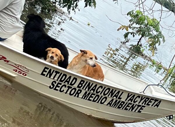 La EBY continúa asistiendo a damnificados por las inundaciones - Informatepy.com