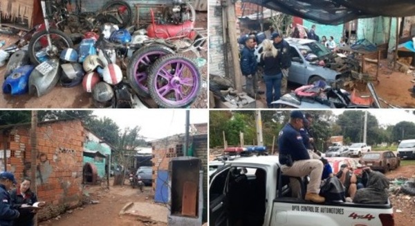 En San Antonio un mono era campana de delicuentes