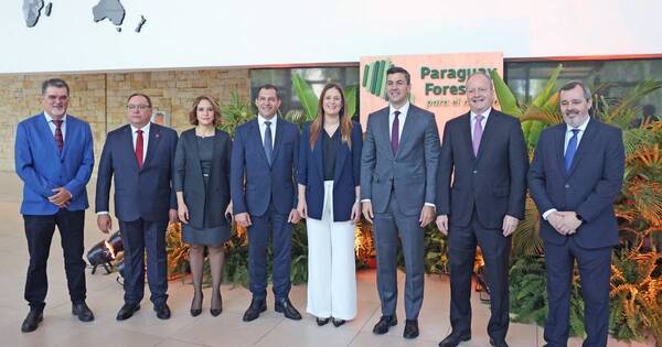 La Nación / Infona presentó herramienta para incentivar inversión en el sector forestal