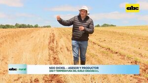 Video: siembra directa para control de malezas y regular la temperatura del suelo  - ABC Rural - ABC Color