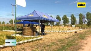 Video: Ideagro y la Mesa de Carne Sostenible preparan encuentro en el Chaco - ABC Rural - ABC Color