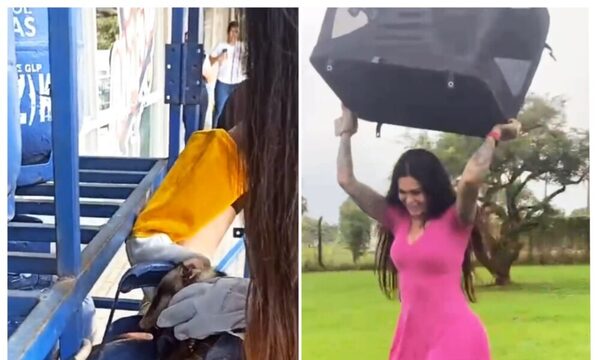 (VIDEO) Gloria Jara rescató a un mykurê que estaba en peligro