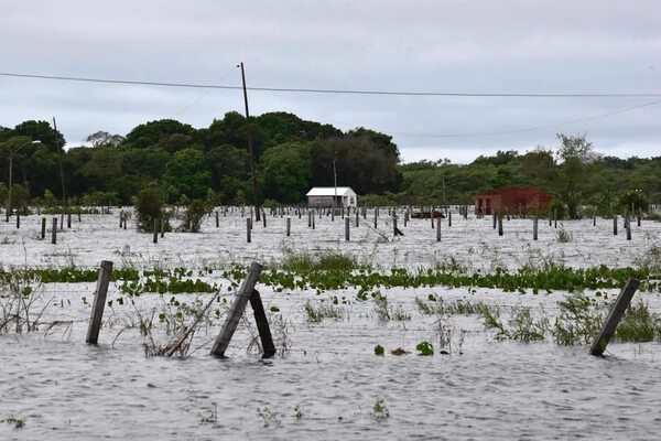 Ganaderos de Argentina están en alerta por la crecida de ríos - Mundo - ABC Color