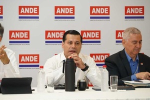 ANDE analiza avance de la ejecución de las metas establecidas para el 2023