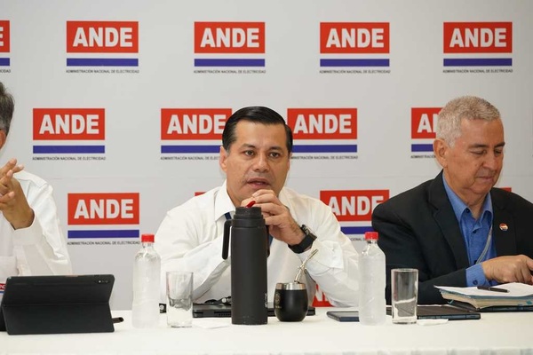 ANDE analiza avance de la ejecución de las metas establecidas para el 2023