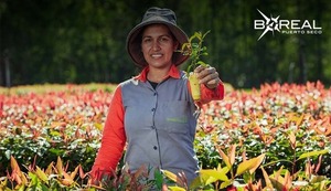 Infona presenta una nueva herramienta de información para la inversión forestal - Unicanal