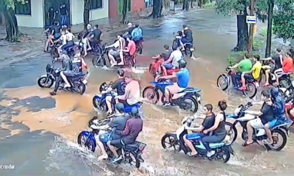 (VIDEO). Si no es la naturaleza son los infelices motochorros