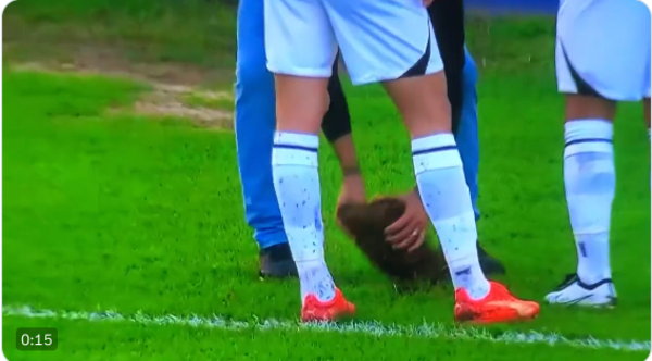 (VIDEO). Asistente de árbitro “metió la pata” y terminó lesionado