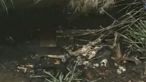 Encuentran restos óseos de una persona que murió calcinada en Ypacaraí