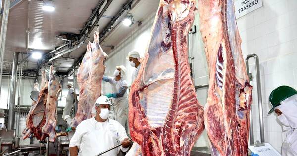 La Nación / Faena de bovinos en frigoríficos repuntó en octubre