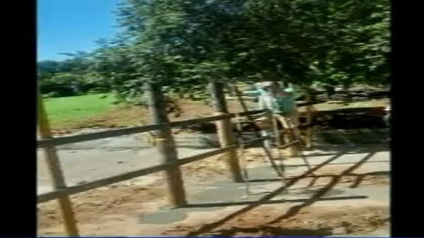 Improvisada barrera es colocada por autoridades de Lambaré en zona de raudales - Noticias Paraguay