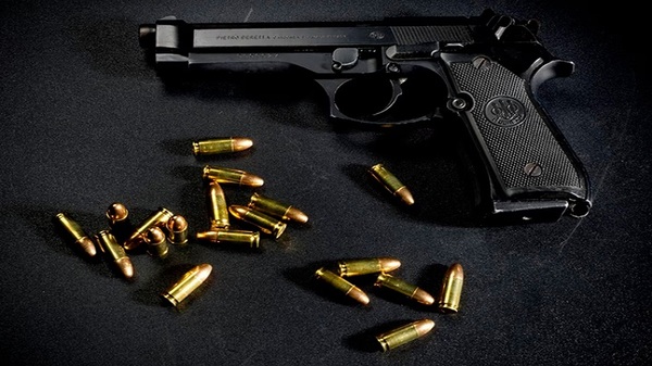 Por "seguridad pública" Peña suspende importación de armas de fuego - Noticias Paraguay