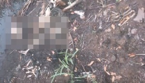 Diario HOY | Hallan cráneo y prendas quemadas en Itauguá, serían de una mujer