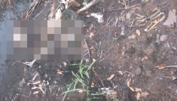 Diario HOY | Hallan cráneo y prendas quemadas en Itauguá, serían de una mujer