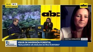 Video: Visor de inversión forestal - ABC Noticias - ABC Color