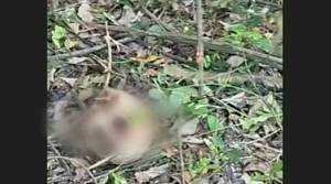 ¿Murió quemado? Encuentran restos óseos de una persona en Ypacaraí